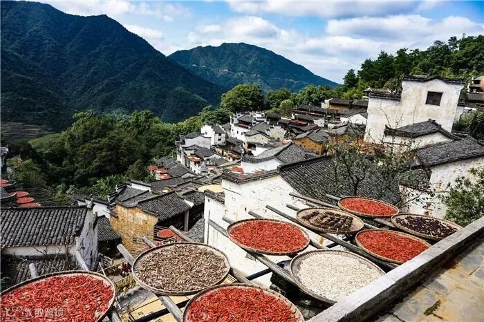 1509096067291630.jpg