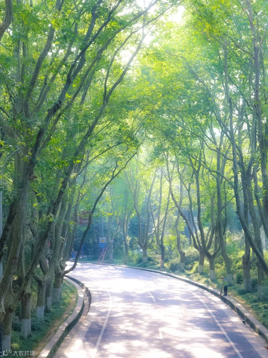 插图