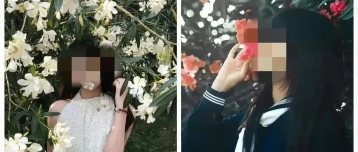 紧急提醒：这种“网红花”千万别碰，有人接触后浑身剧烈瘙痒！