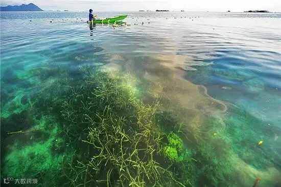 点击查看原图