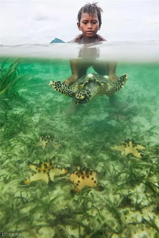 点击查看原图