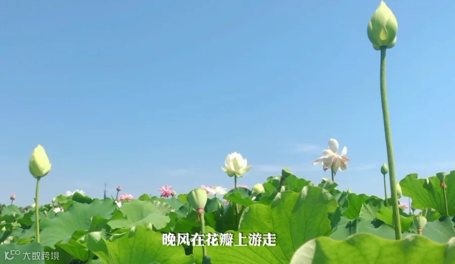 3f0fd8ba447e81df09a8638a0a0f623e.png