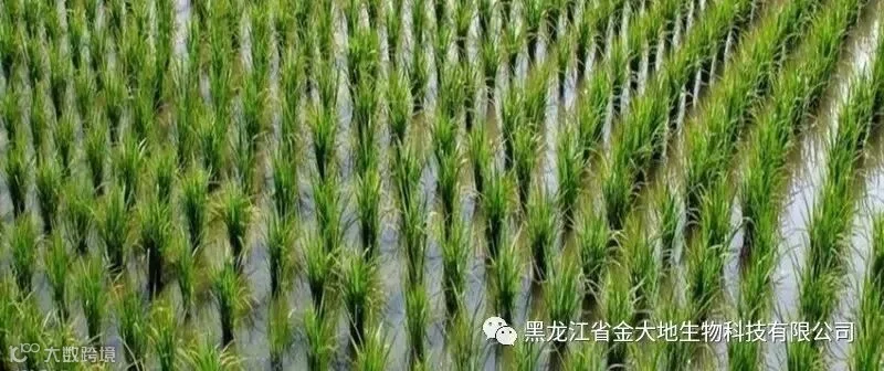 微信图片_20180812214813.jpg