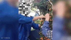 7a64ebbf99c91ea99d1da84a50244d70.gif