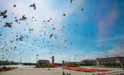 今天,胜利纪念日!