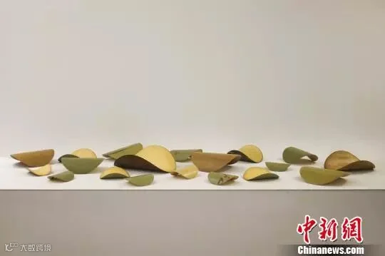 作品《龟》。校方提供