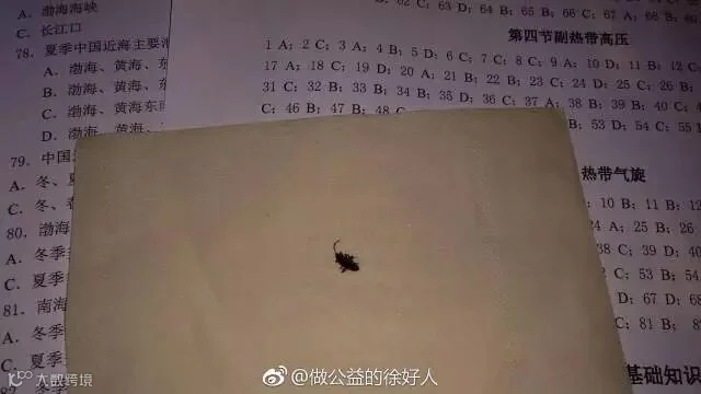 一场买菜引发的“南北差异”大讨论,看完笑岔气!