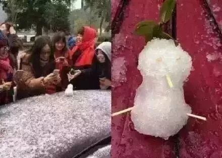 一场买菜引发的“南北差异”大讨论,看完笑岔气!