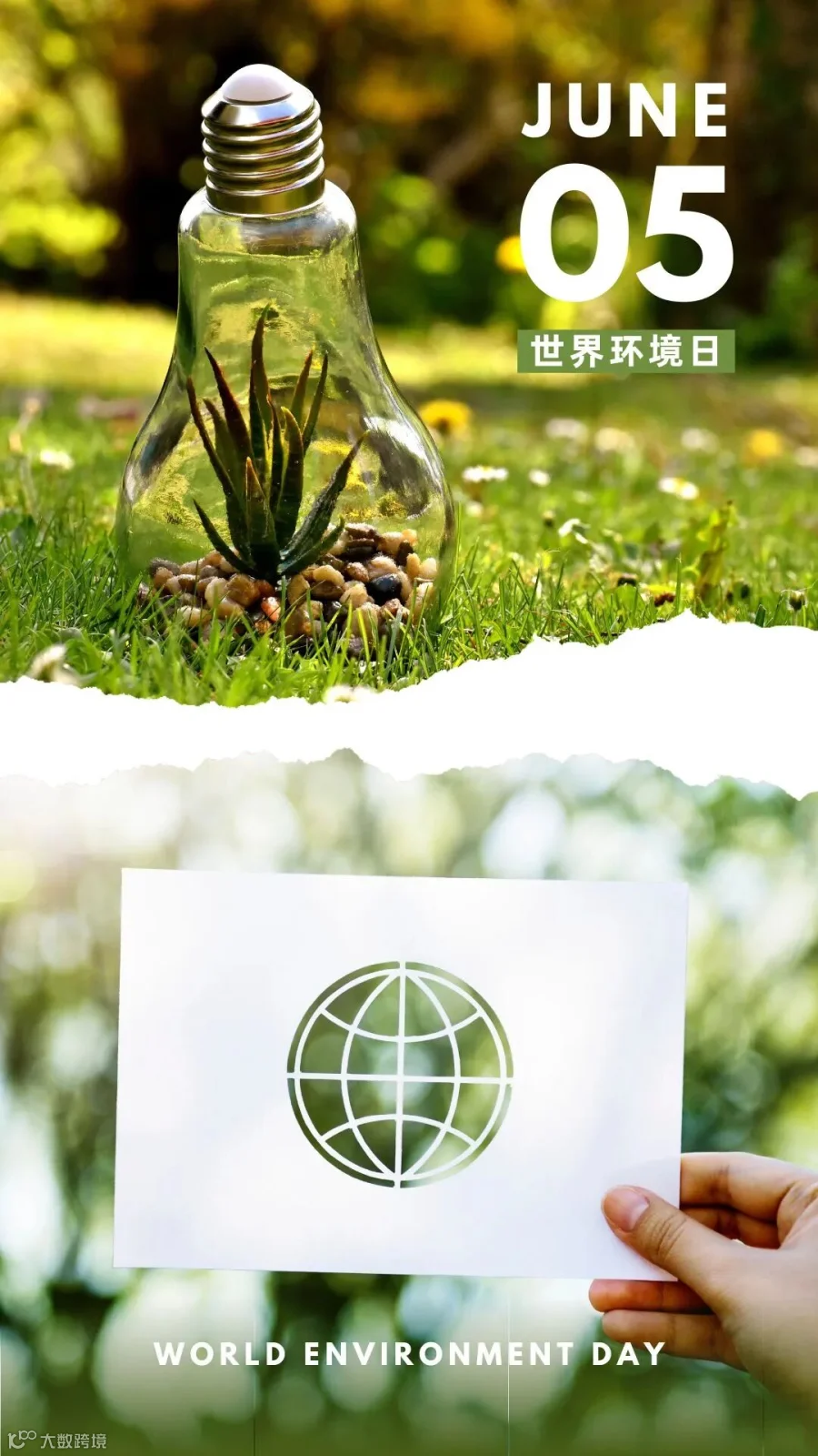 公众号.jpg