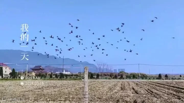 微信图片_20240318093921.jpg