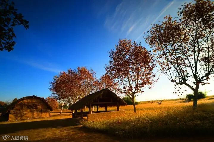 服务区秋景·伍宗保.jpg