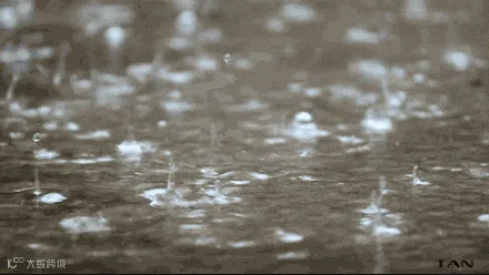 16133243174473680539.gif