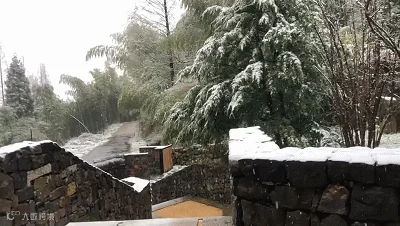 141.gif