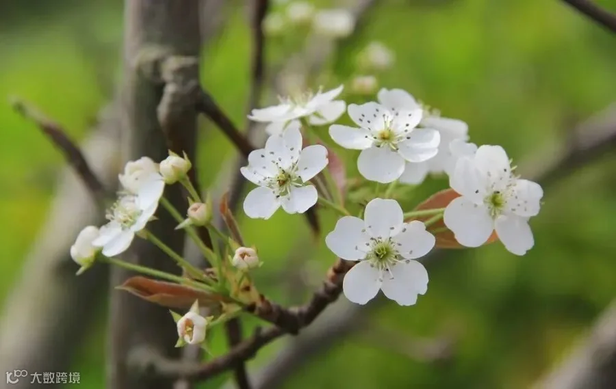 微信图片_20230220143021.jpg