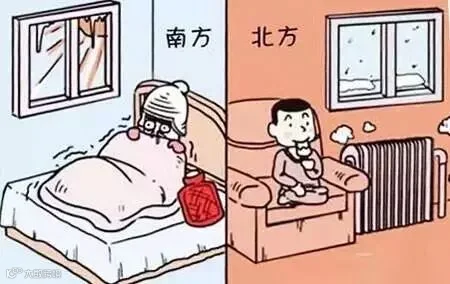 一场买菜引发的“南北差异”大讨论,看完笑岔气!