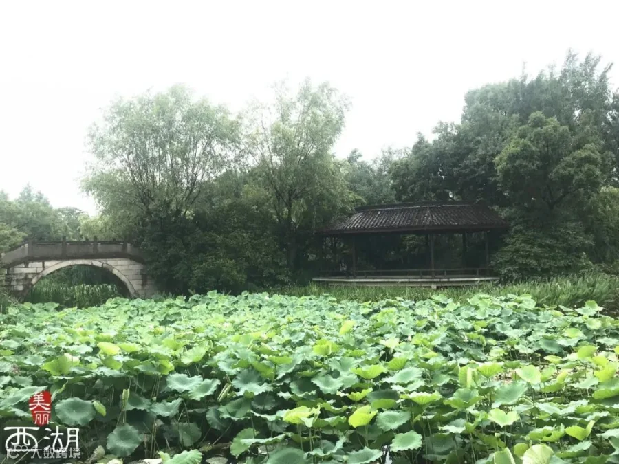 蒋村水景公园_副本_副本.jpg