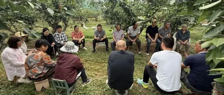亮出诚信范丨海宁袁花诚信经营主题宣教 赋能蜜梨产业高质量发展