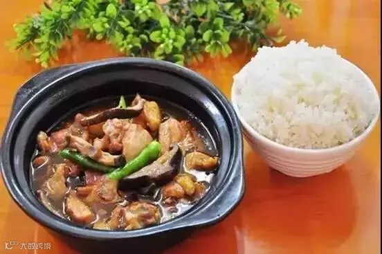 厉害了我的鸡,黄焖鸡米饭即将征服美国!肯德基麦当劳都慌了!