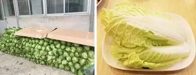 一场买菜引发的“南北差异”大讨论,看完笑岔气!