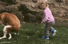 5.gif