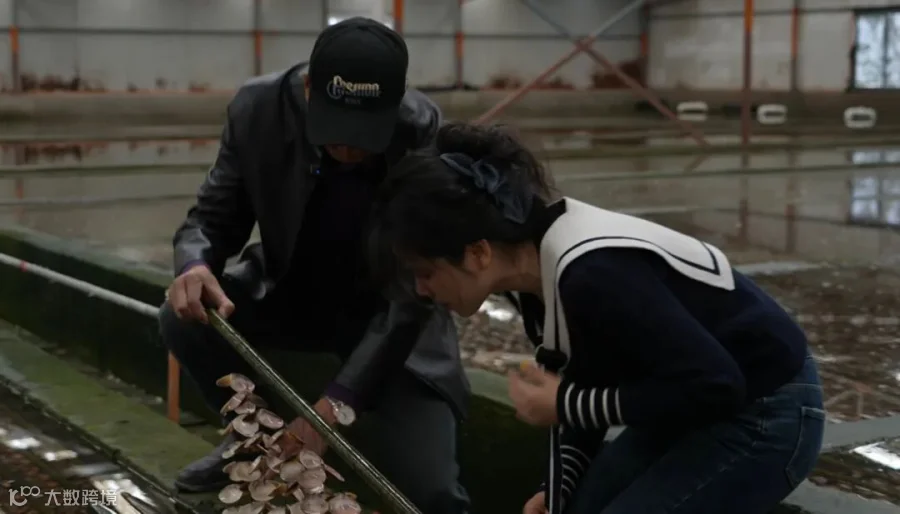 微信截图_20250403164418.png