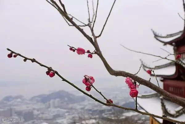 大金山天王寺.jpg