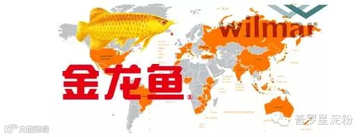 1447997064110574.png