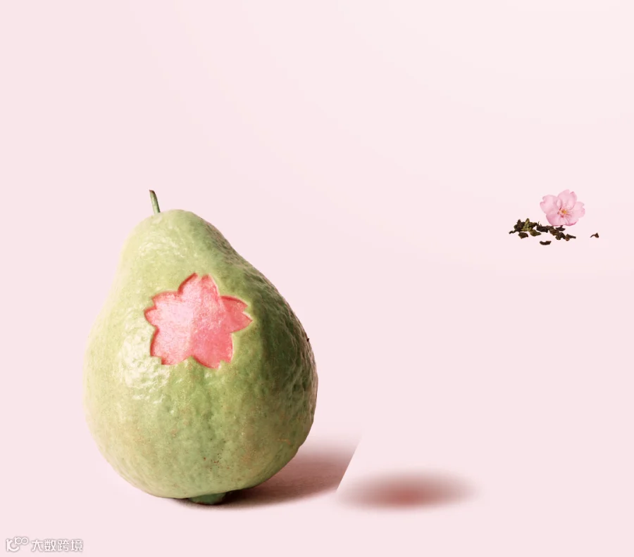 插图