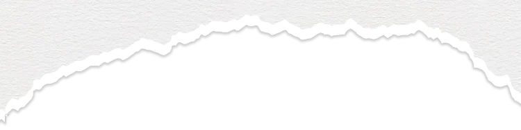 855.png