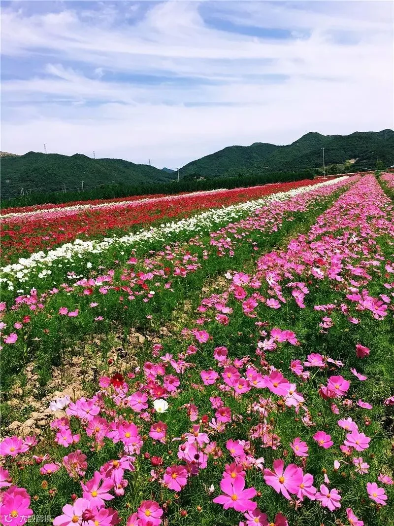 微信图片_20170528203114.jpg