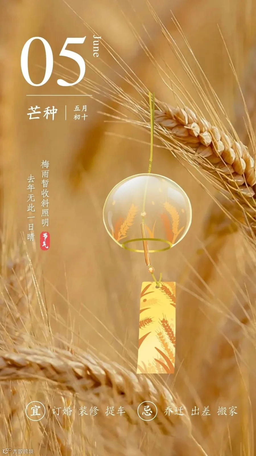 芒种.jpg