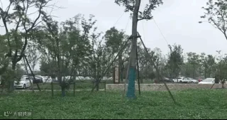 微信图片_20190704230231.gif