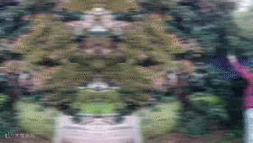 7c43dd50e56d127a12c140e86f54824a.gif