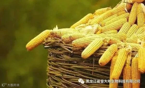 微信图片_20180812214701.jpg