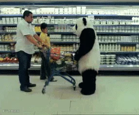 熊猫