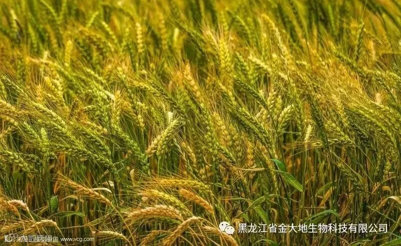 微信图片_20180812214624.jpg
