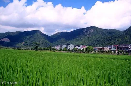 宁波泗洲头镇