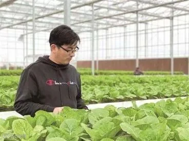朱文荣2.jpg