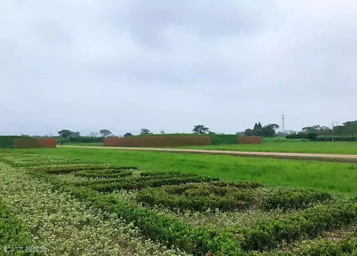 陆城门1.jpg