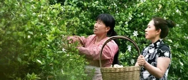 瞄准38个偏远县区！帮农民增收，湖南这么干