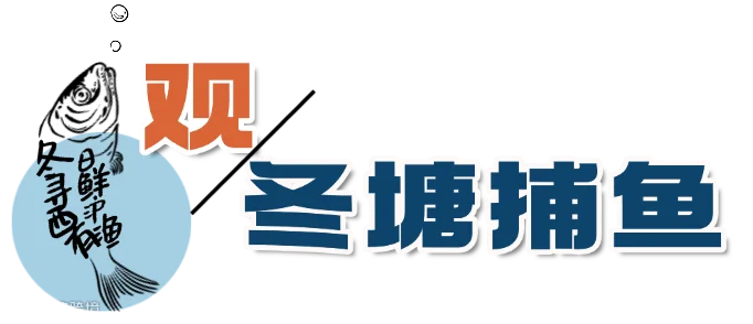 稿定设计-2.png