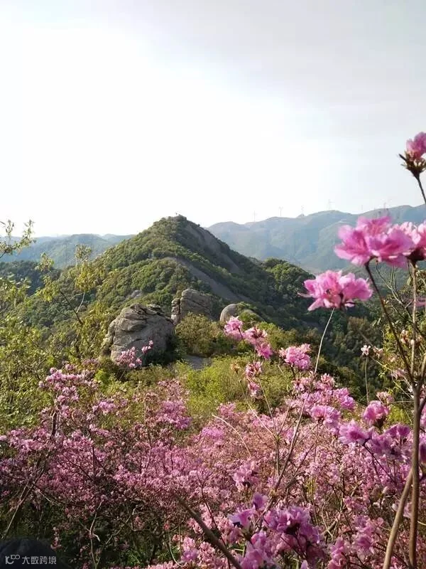微信图片_20180409093610_副本.jpg