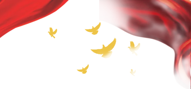 113.png