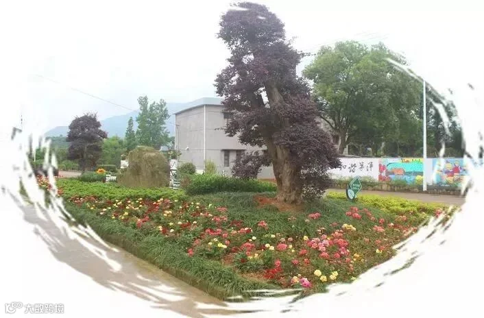 640.jpg