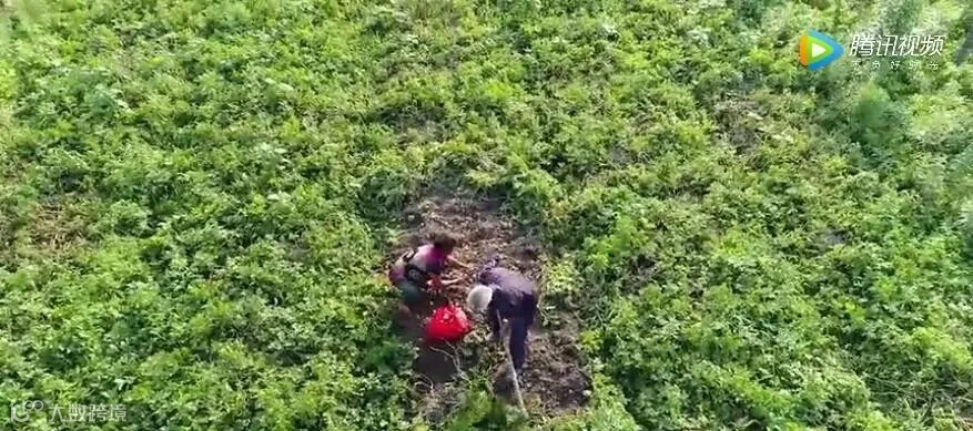 QQ截图20190619102558.jpg
