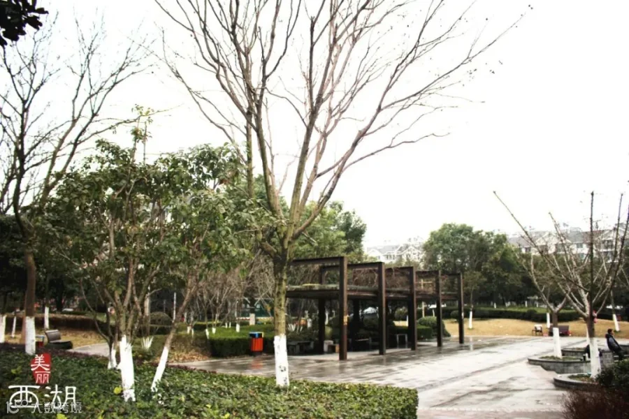 都市水乡公园2.jpg