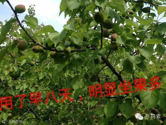 1430098119832150.jpg