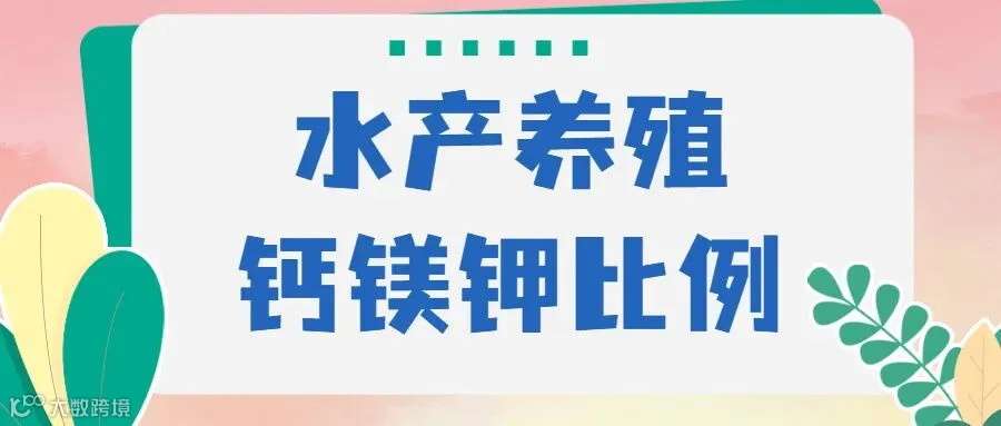 首图.jpg