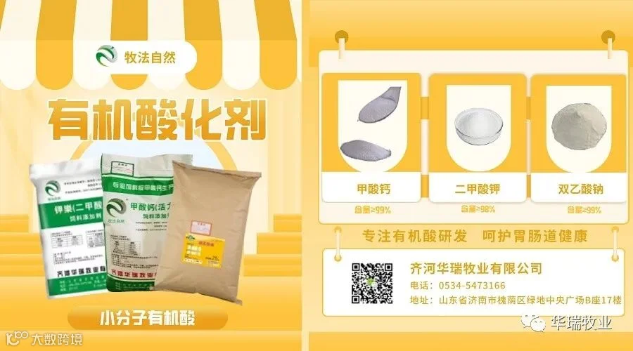 默认标题_动态横版海报_2021-10-03+10_22_25(1).jpeg