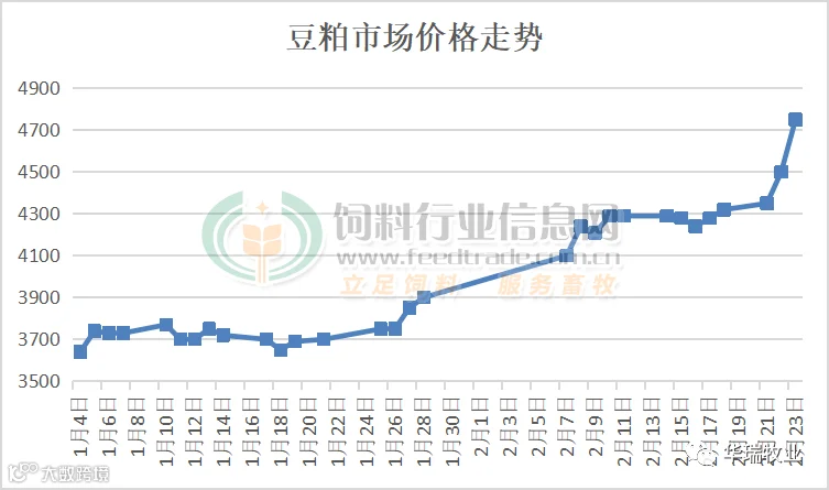 豆粕价格.png